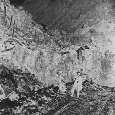Men Standing by a Logging Trail