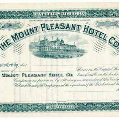 Mount Pleasant Hotel Co. Stock