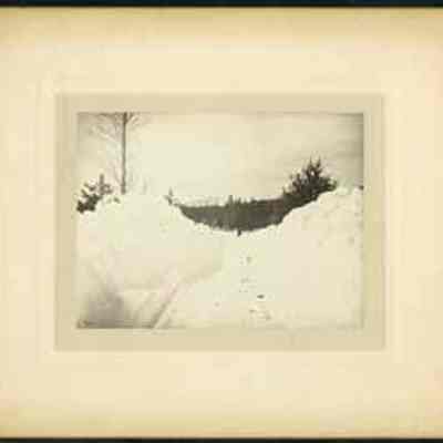 Logging Road