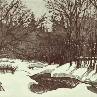 The Brook in Winter