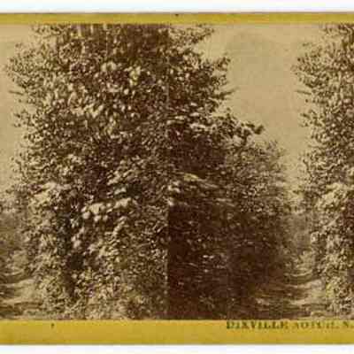Dixville Notch, N.H.