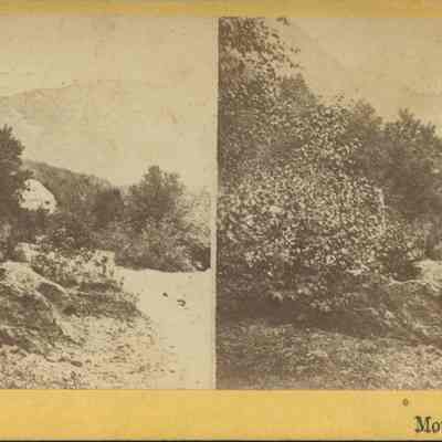 Mount Willie