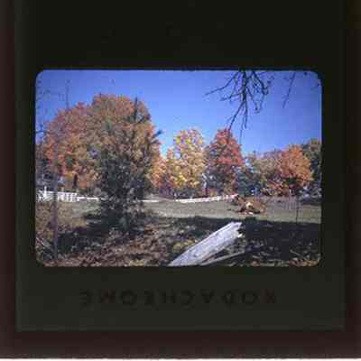 Foliage, Kearsarge, NH