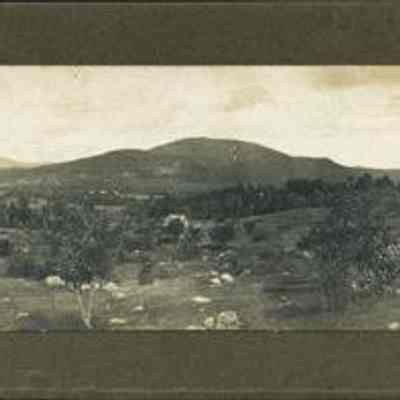Mountain and Clearing