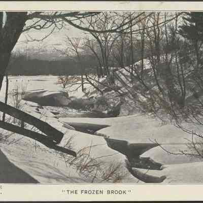 The Frozen Brook