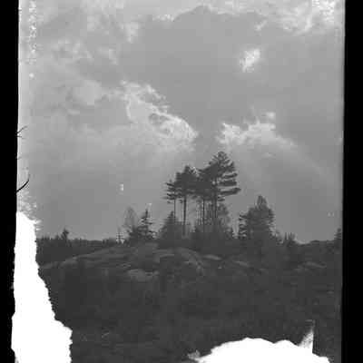 Trees on a Hill