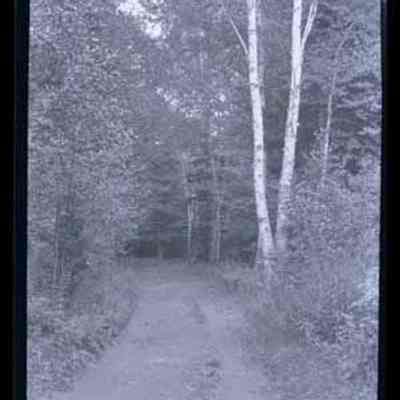 Dirt Road