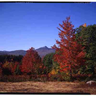 Mt. Chocorua, NH