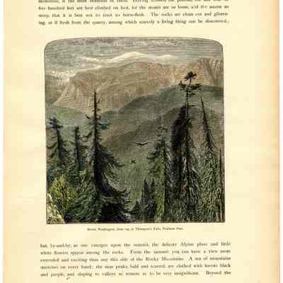 Mount Washington, from top of Thompson's Falls, Pinkham Pass