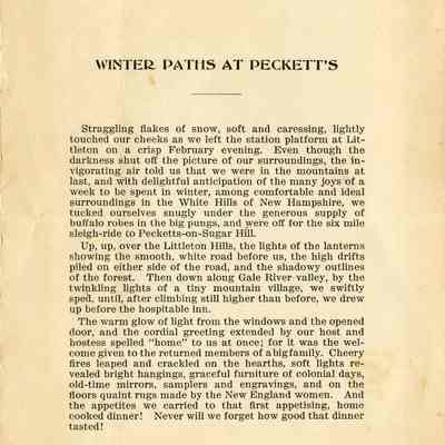 Winter Paths at Peckett's