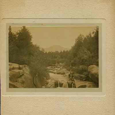Creek Among Trees