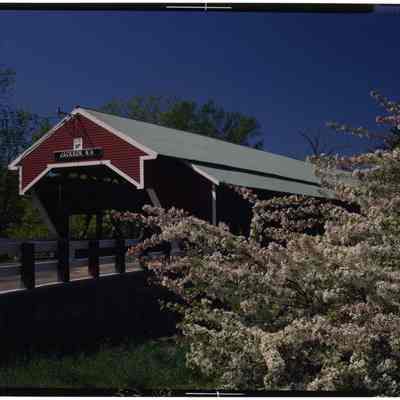 Covered Bridge, Apple Blossoms, Jackson, NH