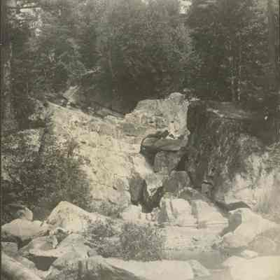 Water Among Rocks Surrounded by Trees