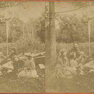 Picnic in a Clearing