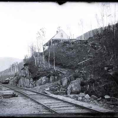 Railroads and Birch Trees