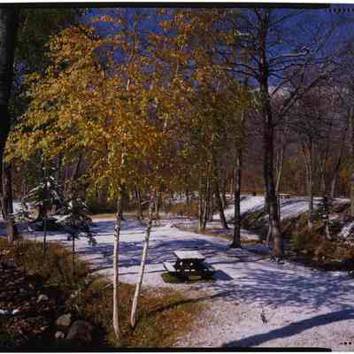 First Snow, Pinkham Notch, NH
