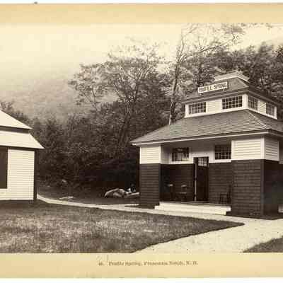 Profile Spring, Franconia Notch, N. H.