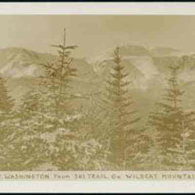 Mt. Washington from Ski Trail on Wildcat Mountain