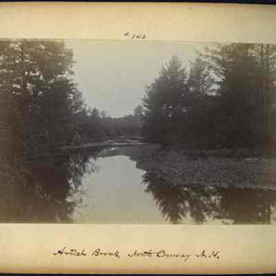 Artist Brook, North Conway, NH