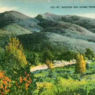 Mt. Madison and Adams From Randolph. N. H.