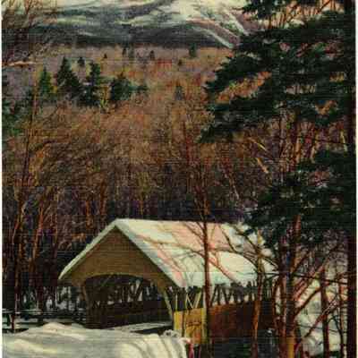48--MT. LIBERTY AND COVERED BRIDGE AT THE FLUME, FRANCONIA NOTCH, WHITE MOUNTAINS, N. H.