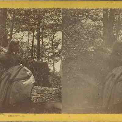Woman Posed on a Log