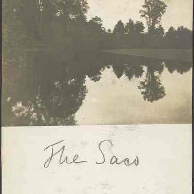 Body of Water Surrounded by Trees