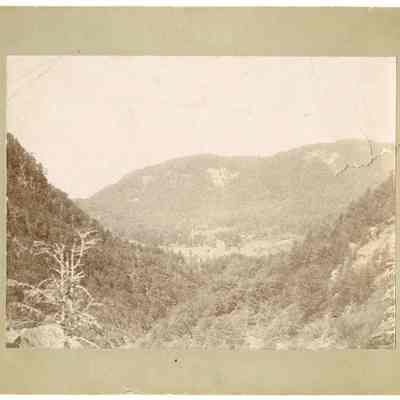 The Balsams