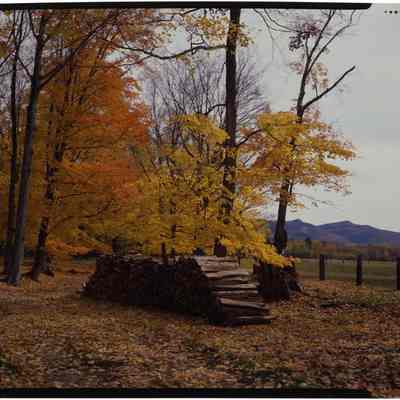 Winter Wood Supply, North Conway, NH