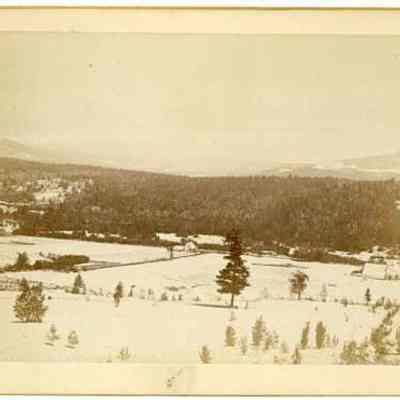 Fields Surrounding the Forest Hills Hotel