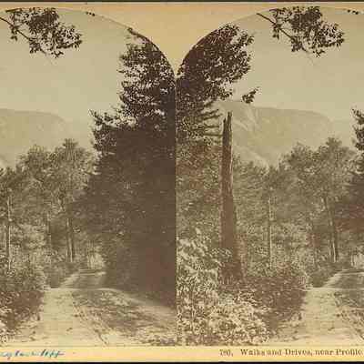 Walks and Drives, near Profile House White Mts.