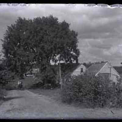 Country Road