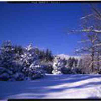 Snow Scene in Carroll, NH