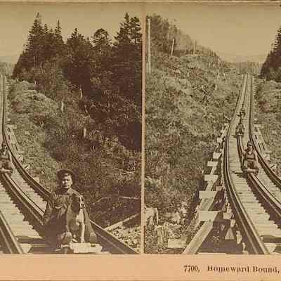 Homeward Bound, Mt Washington
