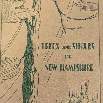 Trees and shrubs of New Hampshire