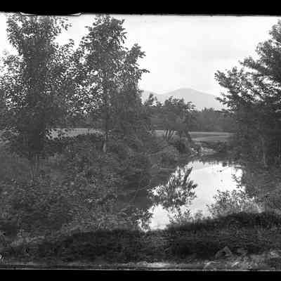 Brook and Trees - 291