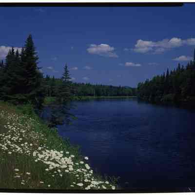Androscoggin River, Milan, NH