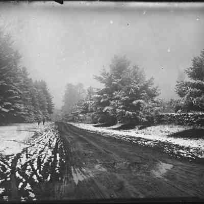 Snowy Road