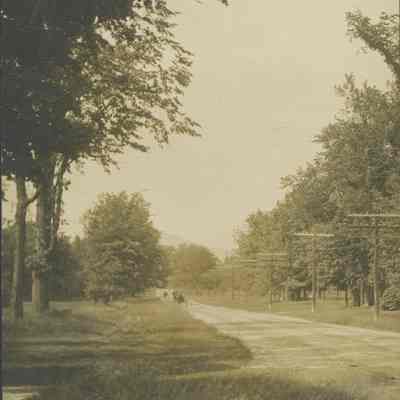 Dirt Road in a Grassy Area