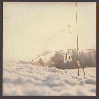 Snowy Field