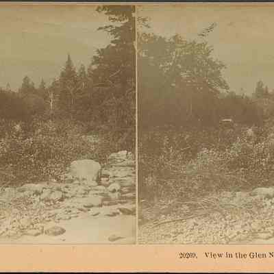 View in the Glen Notch, White Mts.
