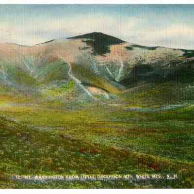 12: - Mt. Washington from Little Deception Mt.. White Mountains, N.H.