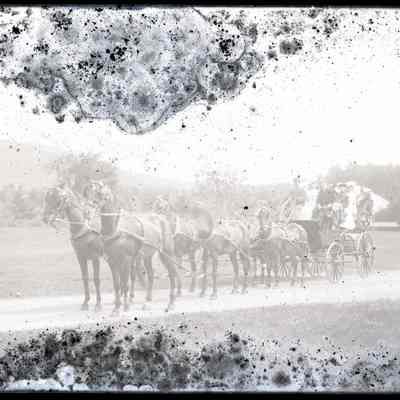Horse Drawn Carriage