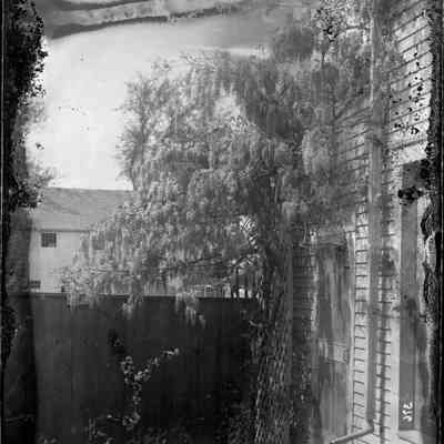 House with Tree