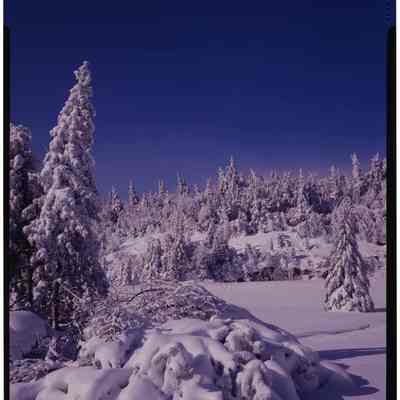 Snow Scene, Kancamagus Hgw. NH