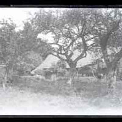 Old Rustic House