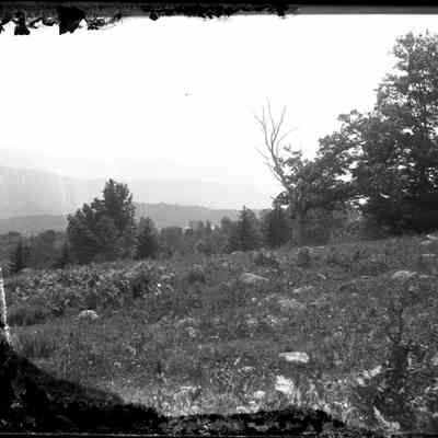 Rocky Field