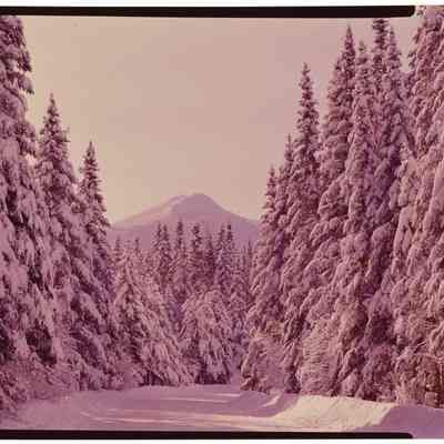 Winter Road, Franconia, NH