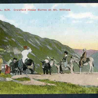 White Mts., N.H. Crawford House Burros on Mt. Willard