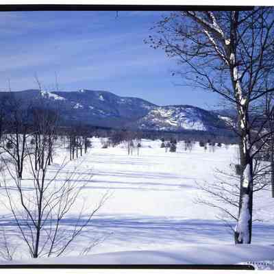 Moat Mt. & White Horse Ledge North Conway, NH
